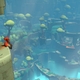 Image for article titled Hob: The Kotaku Review